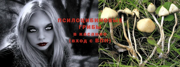 сатива Шарыпово