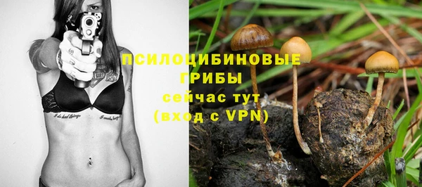 сатива Шарыпово