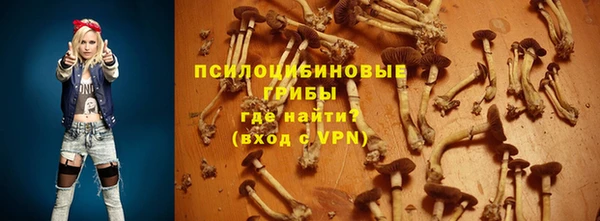 спиды Козельск